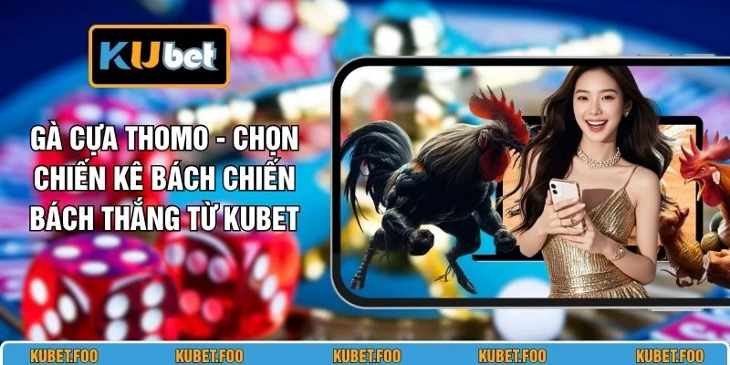 Gà Cựa Thomo - Chọn Chiến Kê Bách Chiến Bách Thắng Từ KUBET