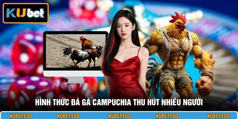 Hình thức đá gà Campuchia thu hút nhiều người